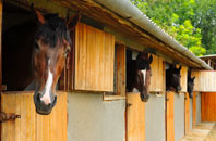 free Gamlingay Cinques stable construction quotes